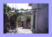 Path to the Healing Waters in Ischia, Italy
